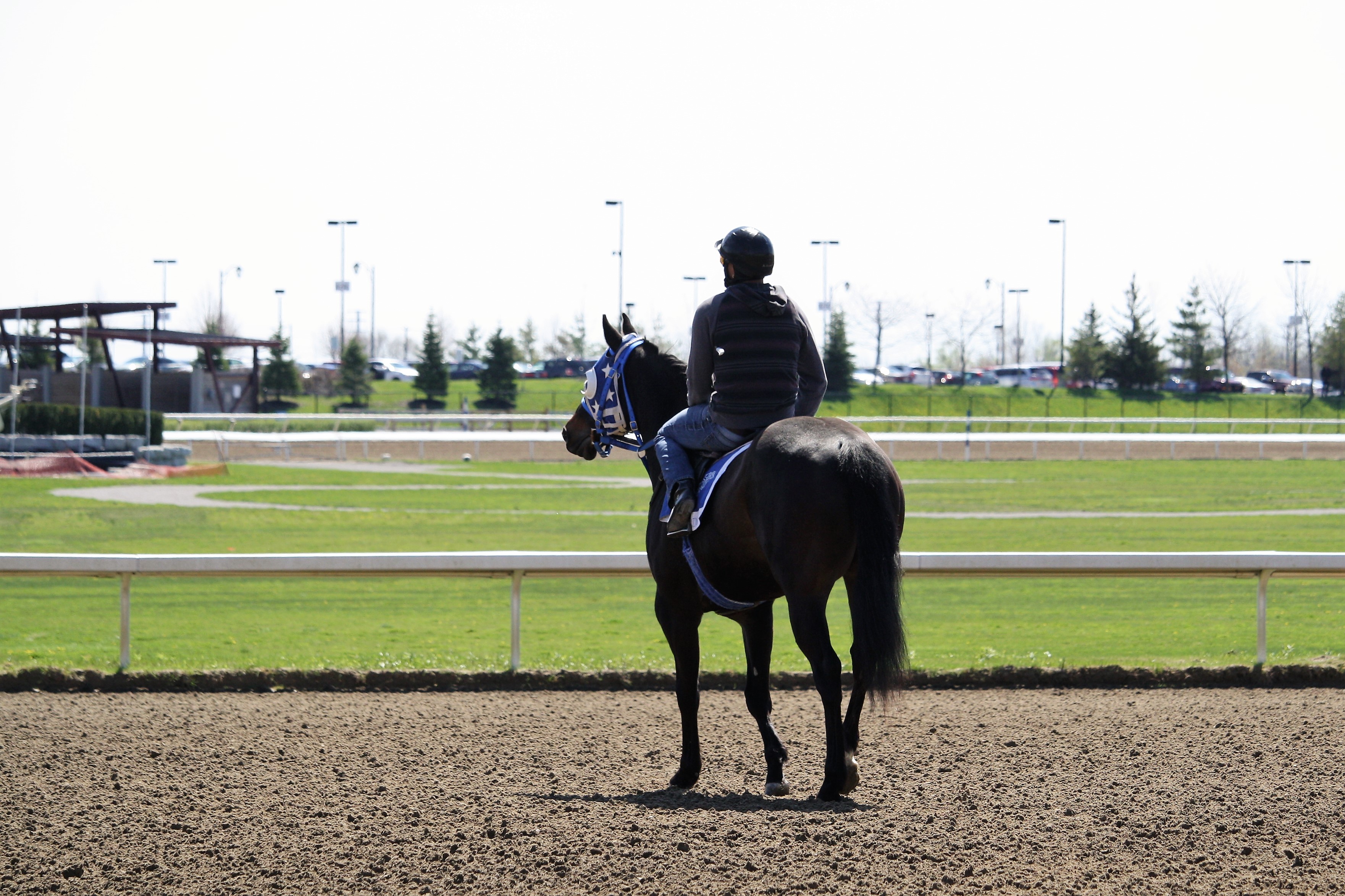 Quarter Horse racing Returns May 7 Ontario Racing